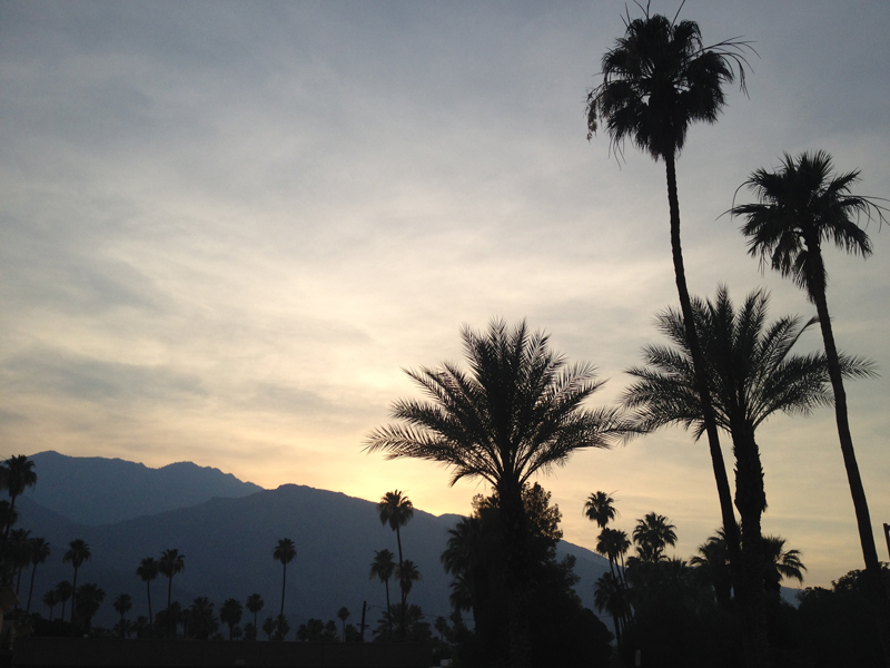 Travel Guide to Palm Springs, California, Ella Frances