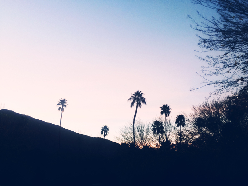 Palm Springs Sunset, Ella Frances