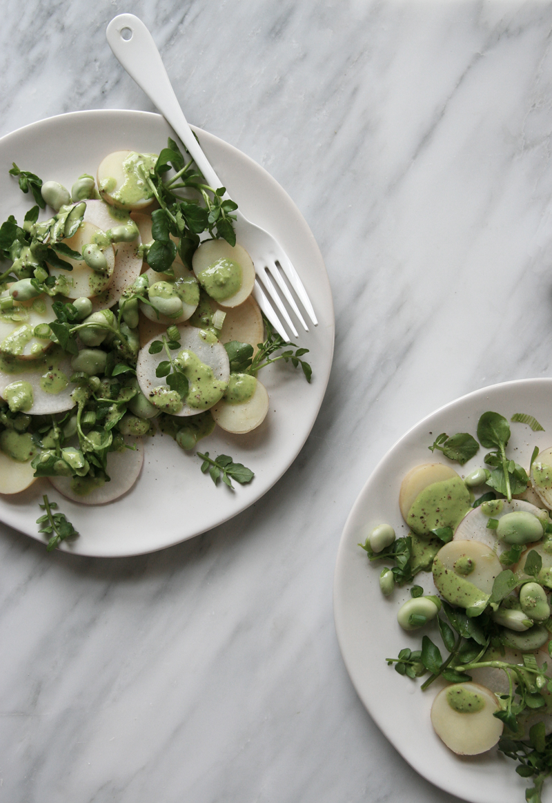 spring potato salad with turnips, watercress, fava beans and green onion with a spinach mustard dressing